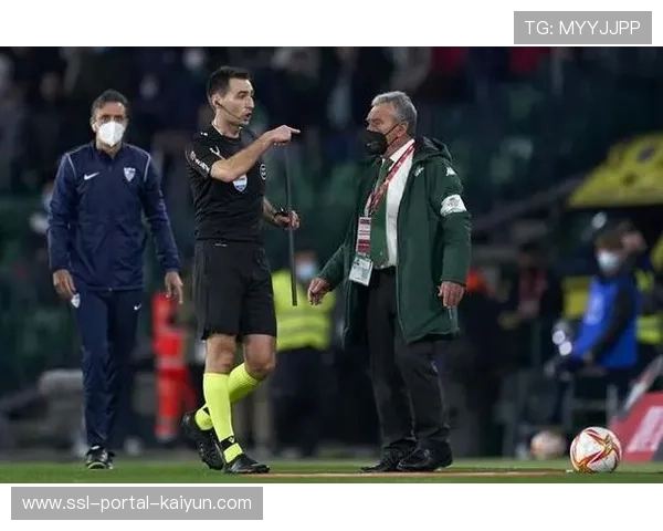 -烟雾中裁判手势模糊,球员被迫暂停比赛瞬间- -烟雾中裁判手势模糊,球员被迫暂停比赛瞬间-